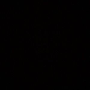 Meet your Posher, Carson